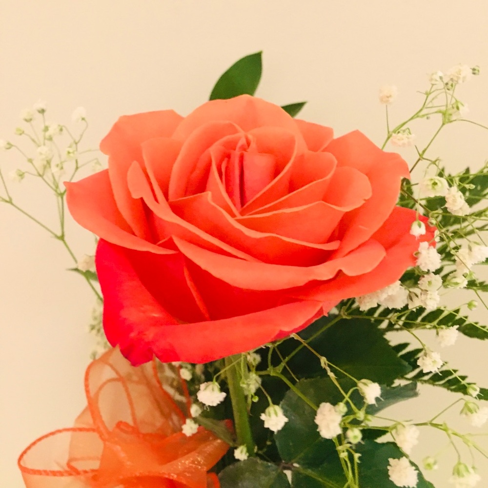 Meet your Posher, RG